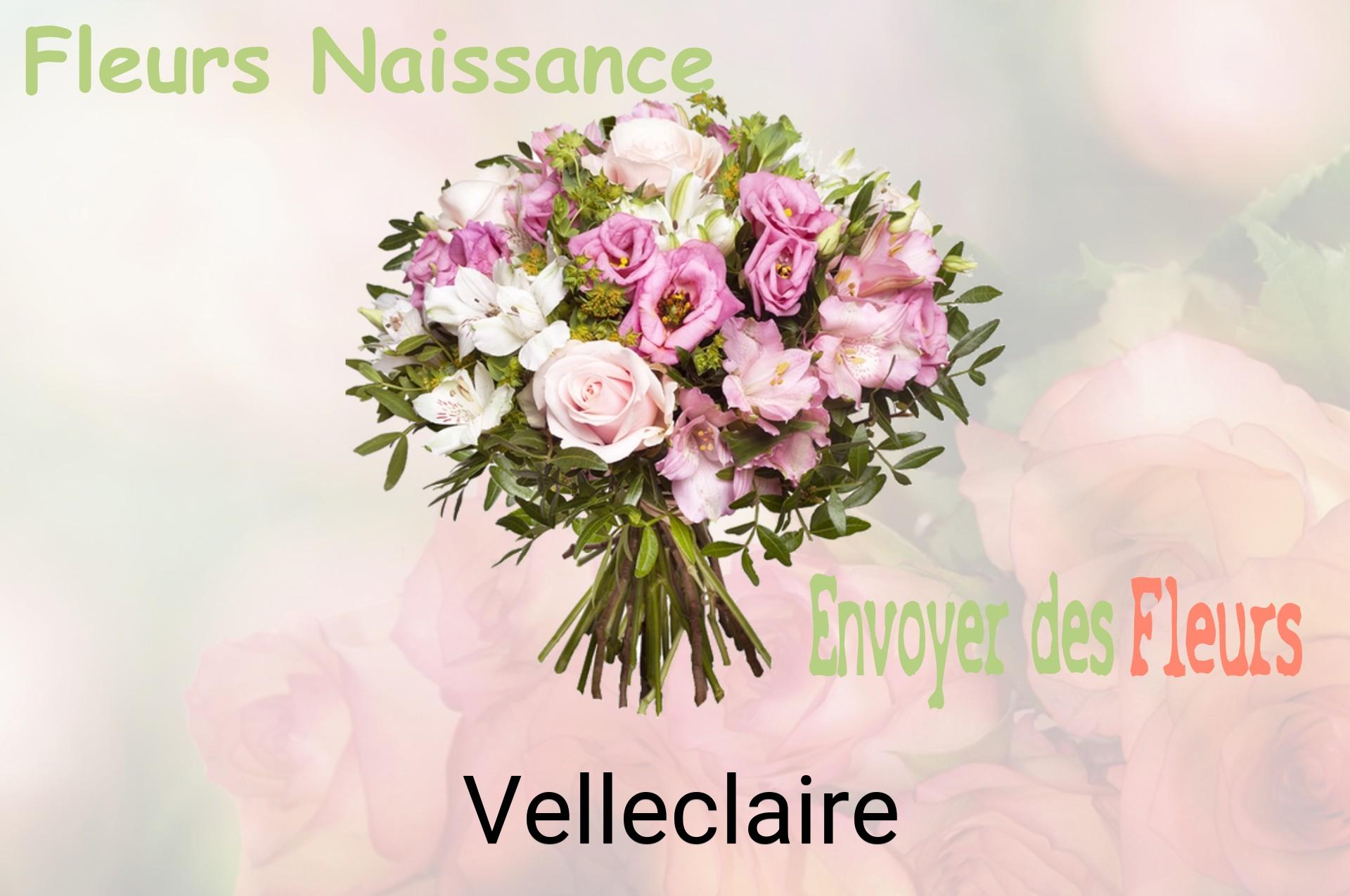 Bouquet de fleurs de naissance livré à Velleclaire