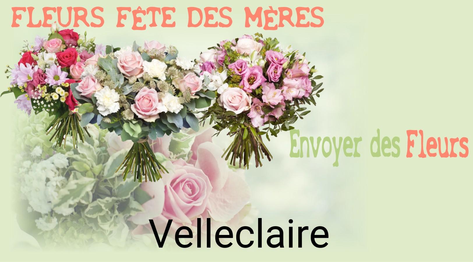Bouquet de Fête des Mères livré à Velleclaire